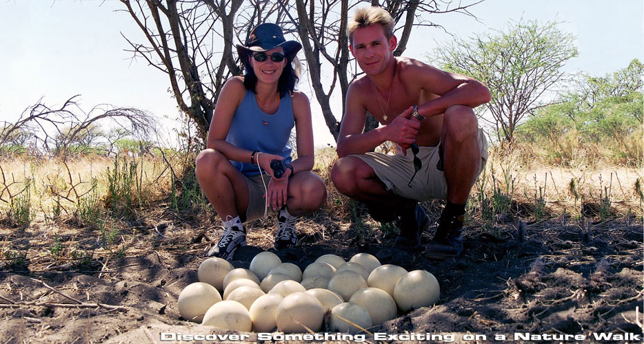 African Hunting Safaris African Hunting Safaris