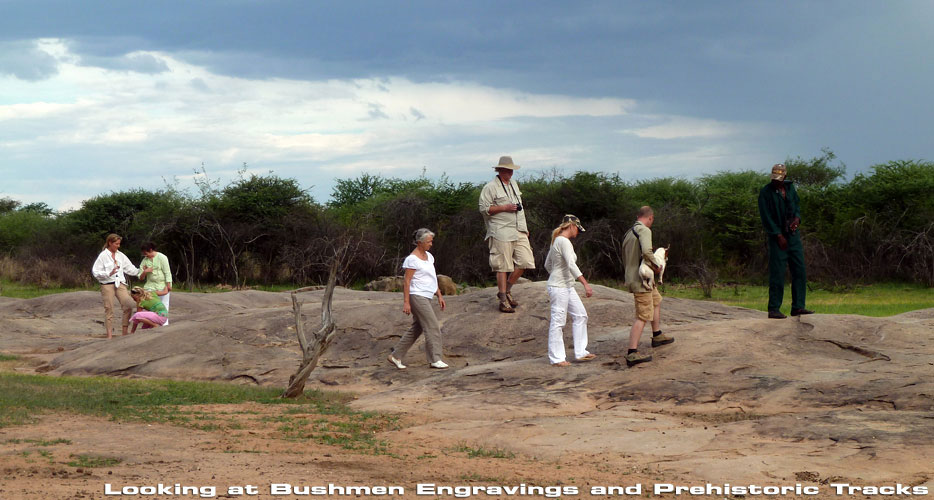 African Hunting Safaris African Hunting Safaris
