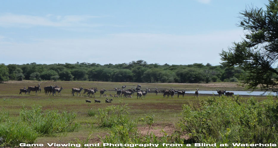 African Hunting Safaris African Hunting Safaris