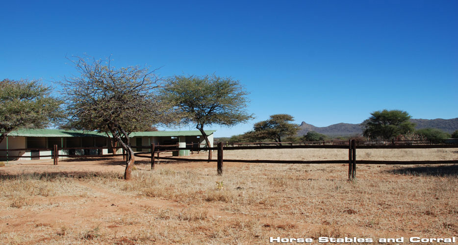 African Hunting Safaris African Hunting Safaris