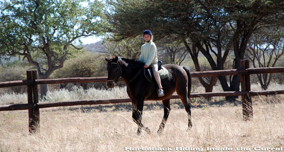 African Hunting Safaris African Hunting Safaris