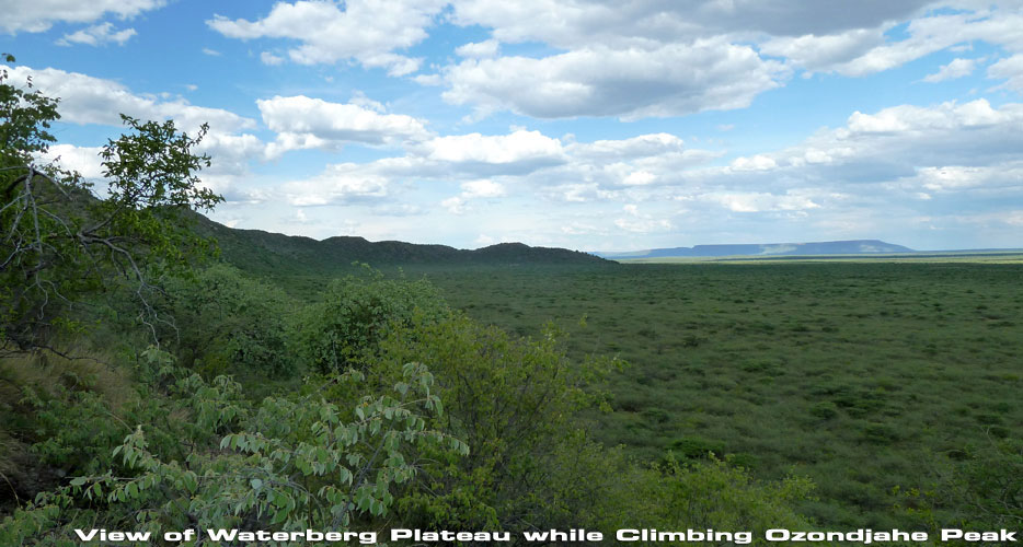 African Hunting Safaris African Hunting Safaris