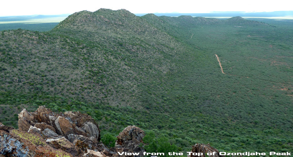 African Hunting Safaris African Hunting Safaris