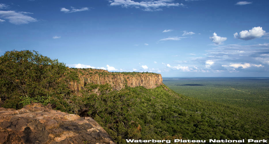 African Hunting Safaris African Hunting Safaris