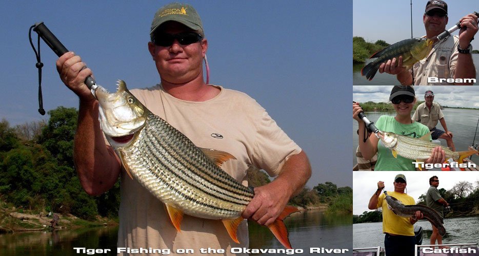 African Hunting Safaris African Hunting Safaris