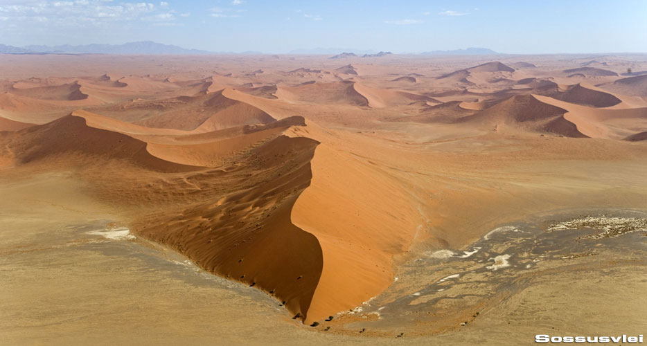 African Hunting Safaris African Hunting Safaris