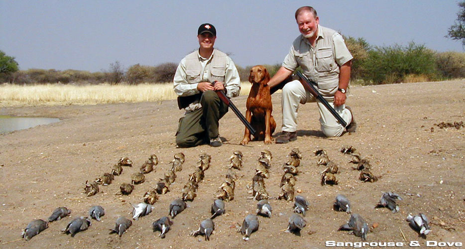 Bird Hunting Africa Bird Hunting Africa