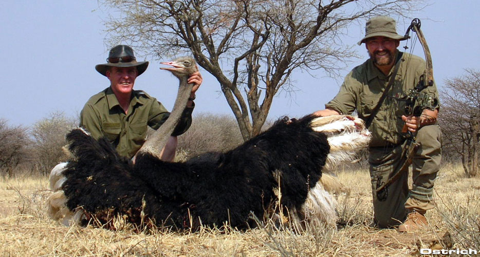Bow Hunting Namibia Bow Hunting Namibia