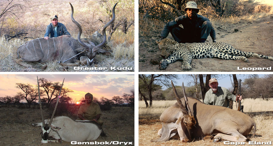 Hunting Africa Namibia
