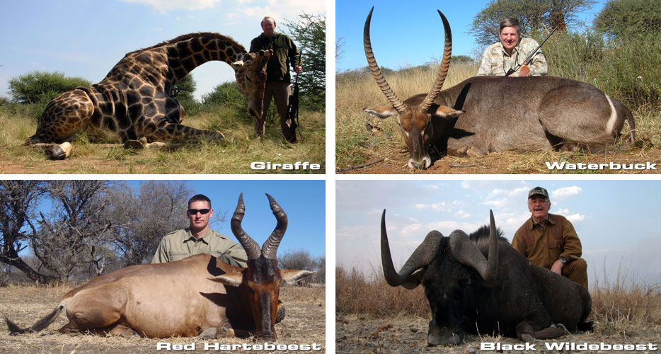 Hunting Africa Namibia Hunting Africa Namibia
