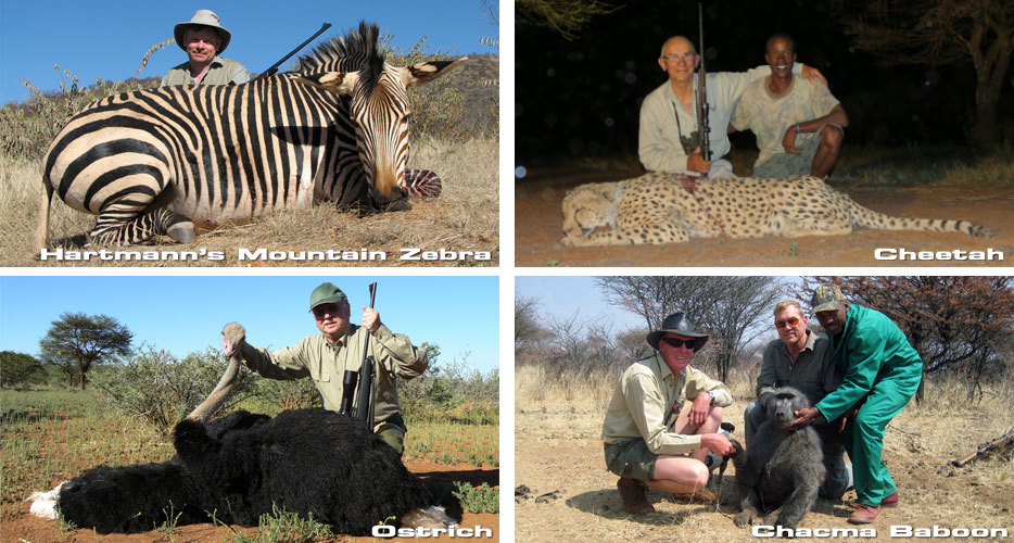 Hunting Africa Namibia Hunting Africa Namibia