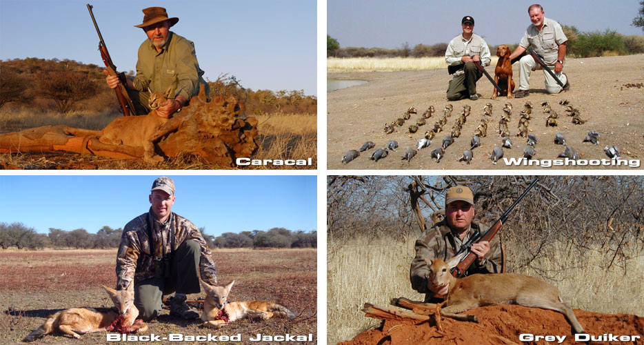 Hunting Africa Namibia Hunting Africa Namibia