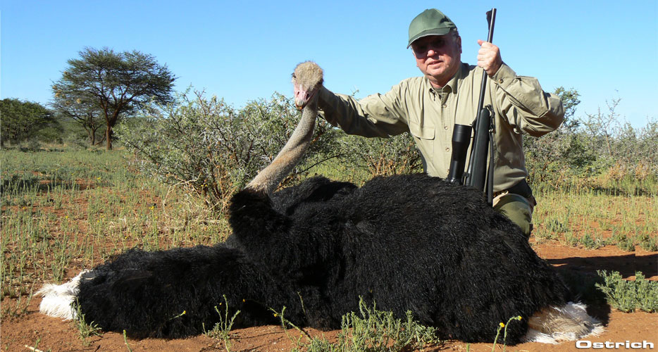 Hunting Namibia Hunting Namibia